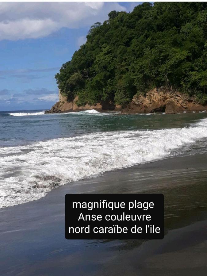 Le Morne-VertA La Montagneアパートメント エクステリア 写真